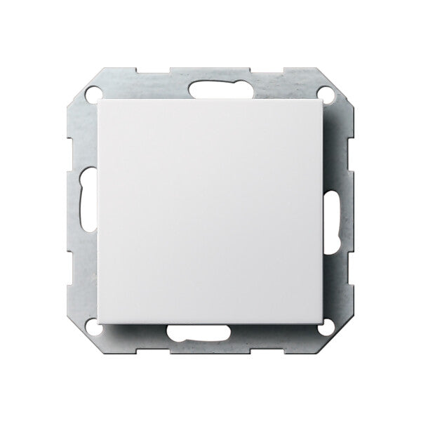 Gira Blindabdeckung rws-gl mit Tragring 026803